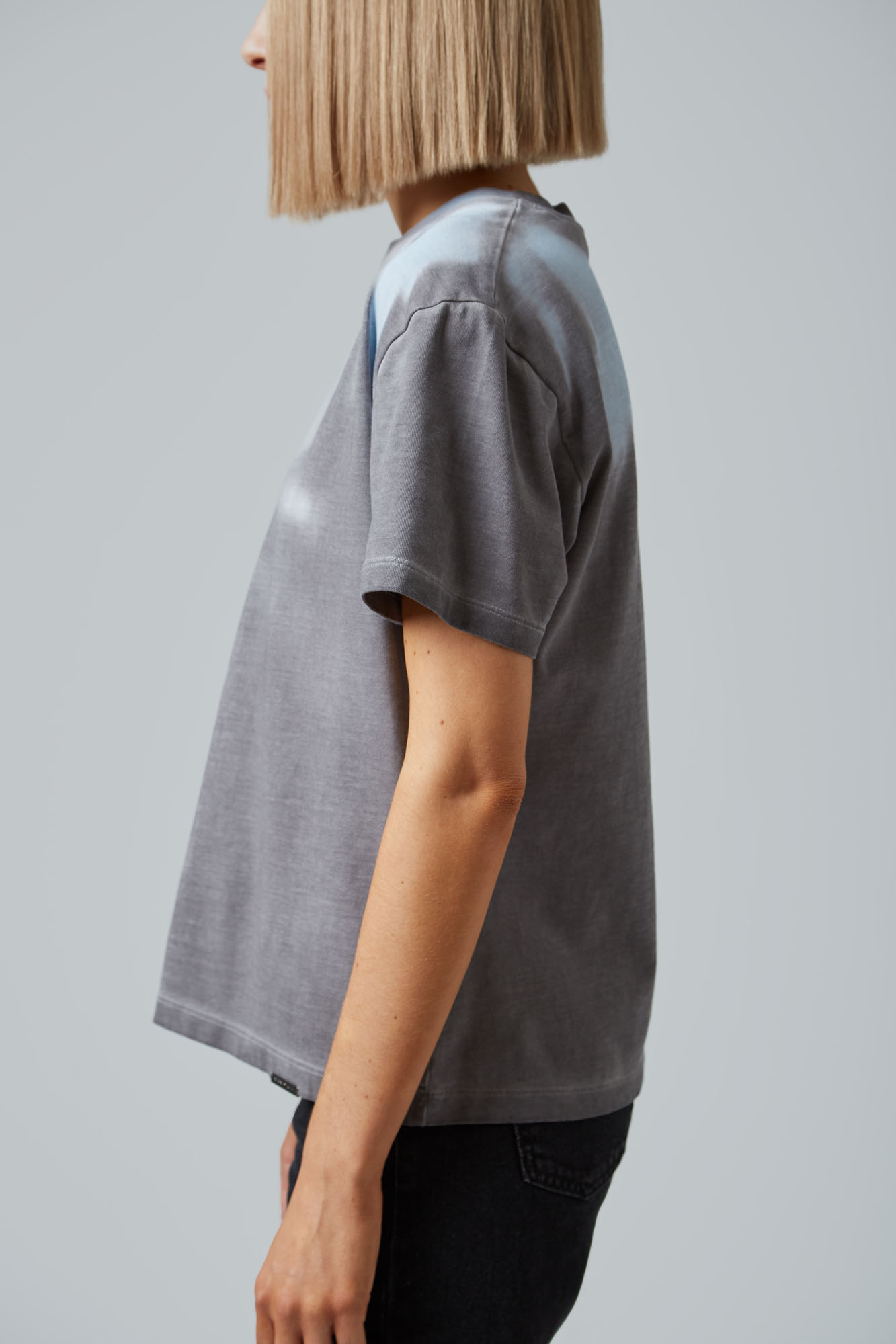 VW-FAT-22-316 футболка van mich